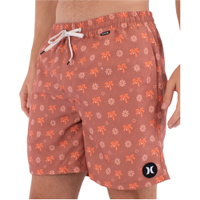 Mens Icon Print Volley Boardshorts